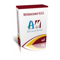 Référencement naturel site web, SEO